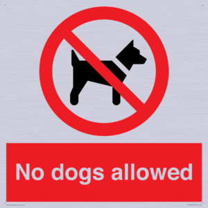 No dogs allowed